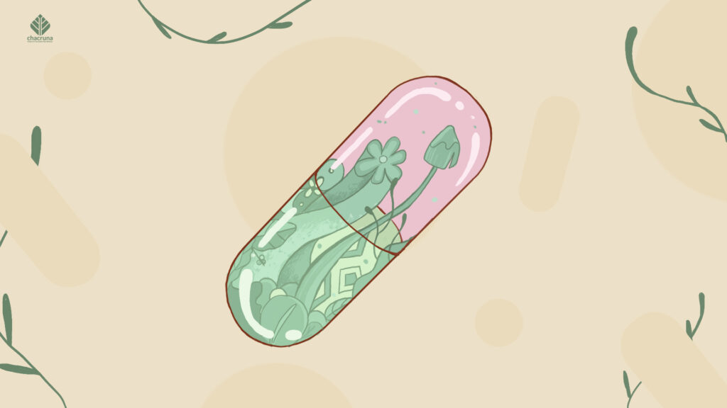 An illustration of a clear pill that holds plants representing the mainstreaming of psychedelics 