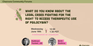 What do you know about the legal cases fighting for the right to access therapeutic use of psilocybin?