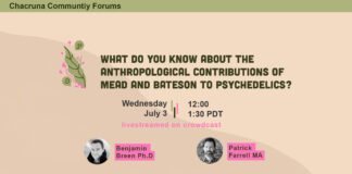 What do you know about the anthropological contributions of Mead and Bateson to psychedelics?