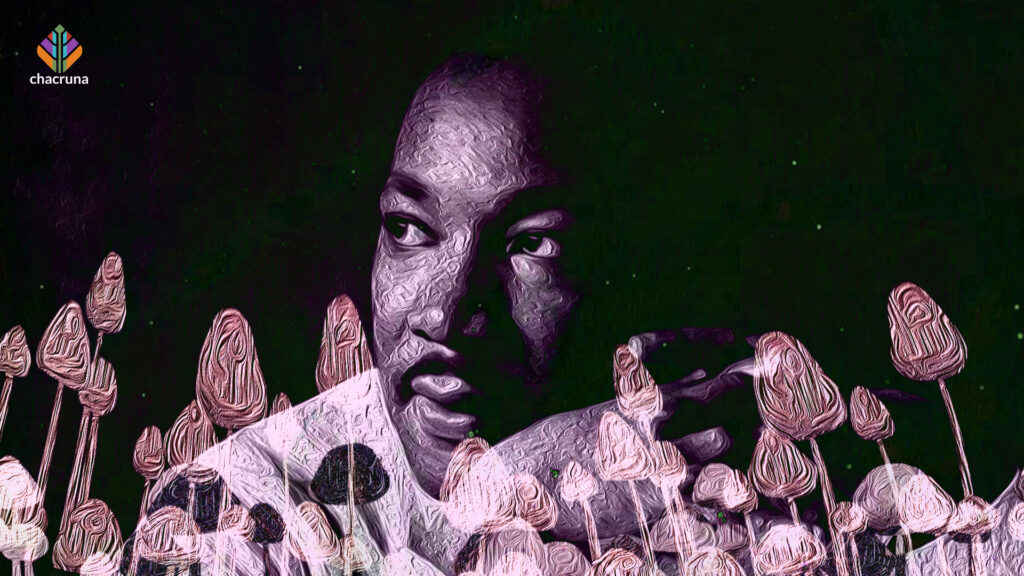 Martin Luther King and psychedelics