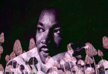 Morals Will Always Outweigh Unjust Laws Martin Luther King and psychedelics
