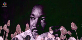 Morals Will Always Outweigh Unjust Laws Martin Luther King and psychedelics