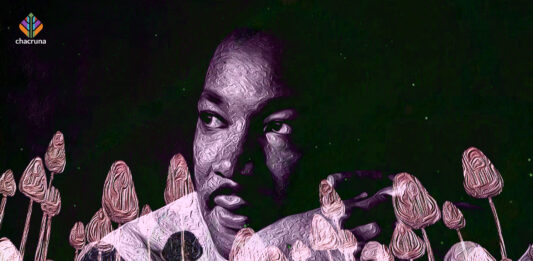 Martin Luther King and psychedelics