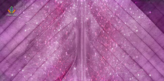 Introduction to Women and Psychedelics psychedelic women