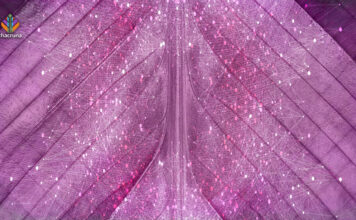 Introduction to Women and Psychedelics psychedelic women