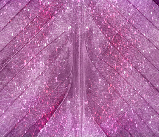 Introduction to Women and Psychedelics psychedelic women