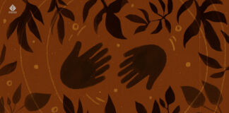 Press Release – Enrolling Now: “Foundations of Plant Medicine Facilitation, Integration and Ethics” Foundations of Plant Medicine Facilitation Integration and ethics