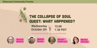 The Collapse of Soul Quest: What Happened?