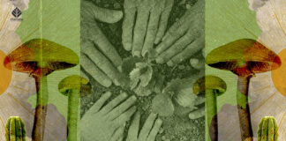 The Mission and Programs of Sacred Plant Alliance Sacred Plant Alliance protects sincere psychedelic churches