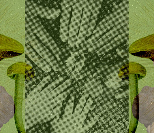 The Mission and Programs of Sacred Plant Alliance Sacred Plant Alliance protects sincere psychedelic churches