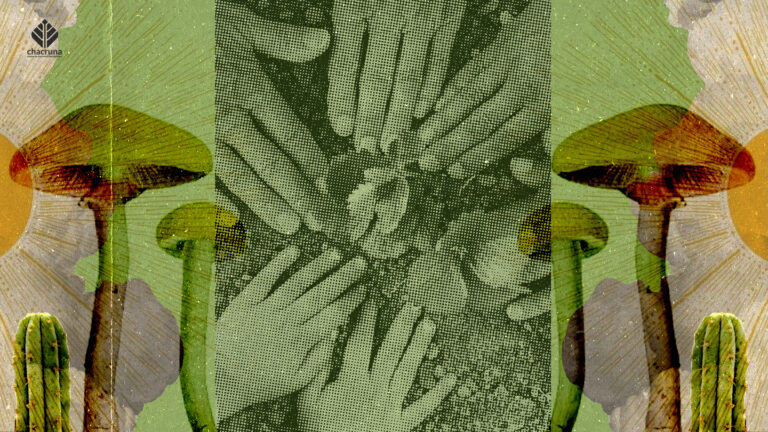 Sacred Plant Alliance protects sincere psychedelic churches