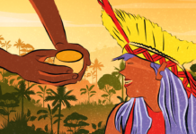 (Re)imagining Healing: Lessons from Indigenous Wisdom Indigenous wisdom