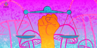 Reflections on Chacruna’s Diversity, Culture, and Social Justice in Psychedelics Course An orange and yellow first reaches up against a background that shows psychedelic mushrooms and the scales of justice in pink and blue - Jasmine Cumetti reflects on a transformative 10-week course at the Chacruna Institute on psychedelics, diversity, and social justice.