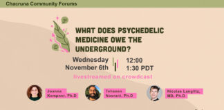 What Does Psychedelic Medicine Owe the Underground?