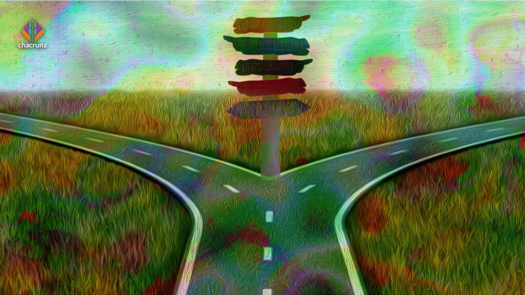 Where is the psychedelic movement headed?