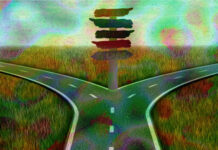 Where Is the Psychedelic Movement Headed Next? Where is the psychedelic movement headed?