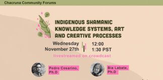 Indigenous Shamanic Knowledge Systems, Art and Creative Processes