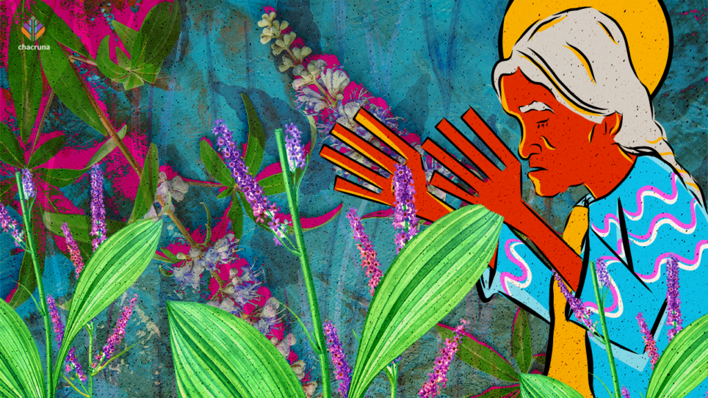 Psychedelics in the Global South Relevance and Consequences of the Countercultural Movement in Mexico