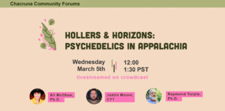 Hollers & Horizons: Psychedelics in Appalachia