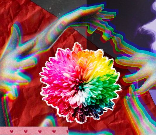 The Future of Sex and Psychedelics: An Agenda for Research sex and psychedelics