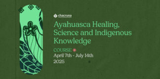 Press Release – Enrolling Now: Ayahuasca Healing, Science and Indigenous Knowledge Chacruna Course - Ayahuasca Healing, Science and Indigenous Knowledge - April 7 - July 14th 2025