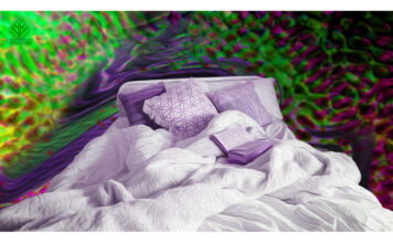 L’avenir des recherches sur le sexe et les psychédéliques L'avenir des recherches sur le sexe et les psychédéliques