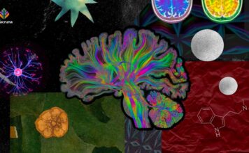 Science, Spirit, and Structure: Building a Psychedelic Research Hub in Brazil’s Public University System Science, Spirit, and Structure: Building a Psychedelic Research Hub in Brazil’s Public University System