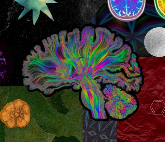 Science, Spirit, and Structure: Building a Psychedelic Research Hub in Brazil’s Public University System Science, Spirit, and Structure: Building a Psychedelic Research Hub in Brazil’s Public University System
