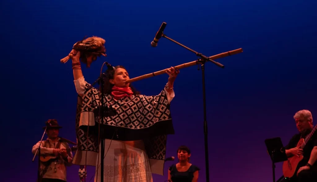 performer at psychedelic culture 2025