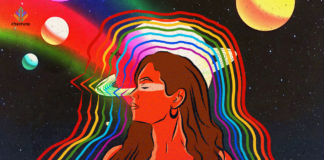 The Queer Potential of Psychedelics: Assessing Queer Representation in the Academic Literature of Psychedelic Studies The Queer Potential of Psychedelics Assessing Queer Representation in Psychedelic Literature