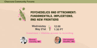 Psychedelics and Attachment: Fundamentals, Implications, and New Frontiers