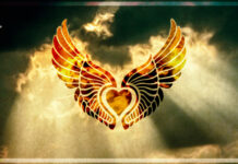 Church of the Celestial Heart Wins Legal Protection for Ayahuasca Use Church of the Celestial Heart Wins Legal Protection for Ayahuasca Use