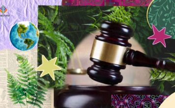 Sacred Plant Alliance to Sue DEA Over Religious Exemption Process gavel representing DEA