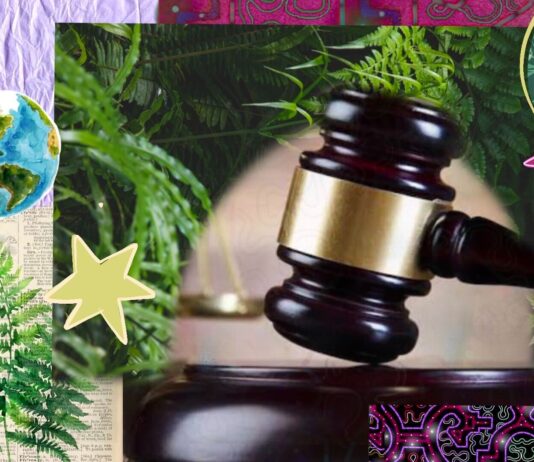 Sacred Plant Alliance to Sue DEA Over Religious Exemption Process gavel representing DEA