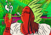 The Enchanted Science of Jurema: DMT at the Root of Afro-Amerindian Rituals in Brazil The Enchanted Science of Jurema: DMT at the Root of Afro-Amerindian Rituals in Brazil