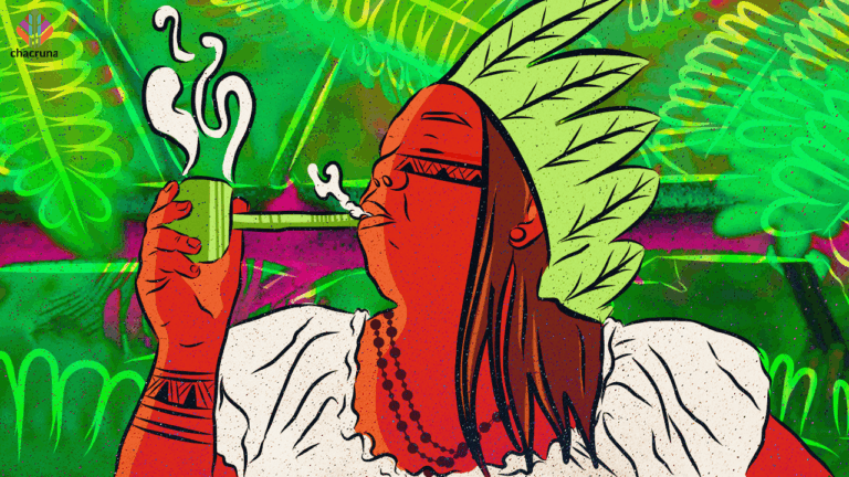 The Enchanted Science of Jurema: DMT at the Root of Afro-Amerindian Rituals in Brazil