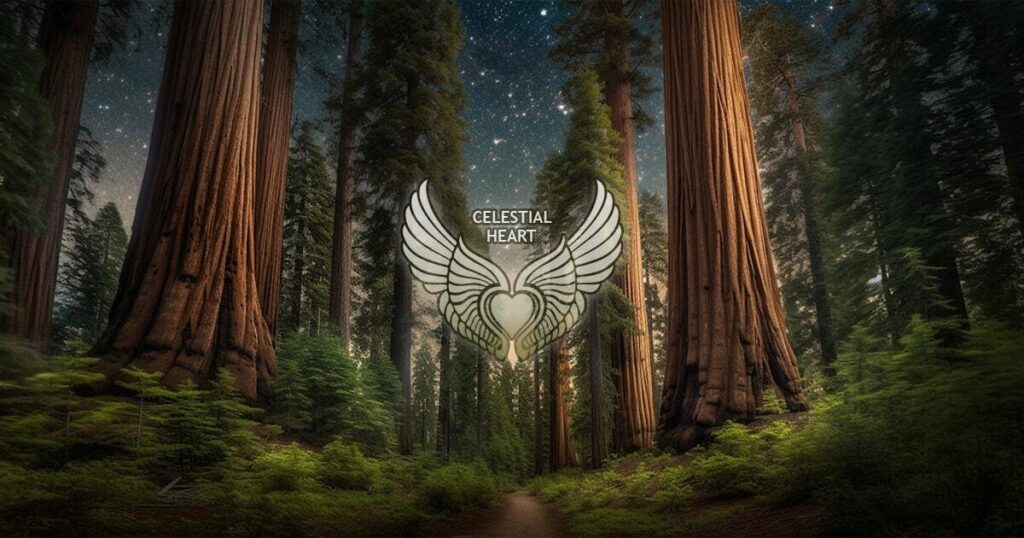 church of the celestial heart logo