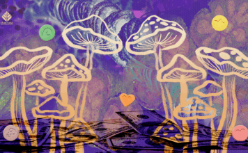 Hallucinating Hierarchies: How Patriarchy Co-opts Psychedelics Hallucinating Hierarchies: How Patriarchy Co-opts Psychedelics