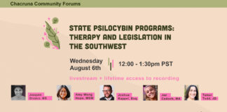 State Psilocybin Programs: Therapy and Legislation in the Southwest