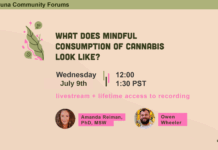 What Does Mindful Consumption of Cannabis Look Like?