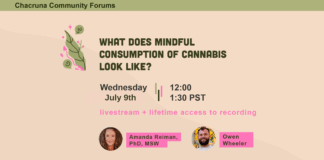 What Does Mindful Consumption of Cannabis Look Like?