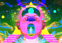 Back to the Roots: Psychedelic Science Rebuilds After MDMA Denial Largest Psychedelic Science Conference Rekindles Hopes of Therapeutic Success