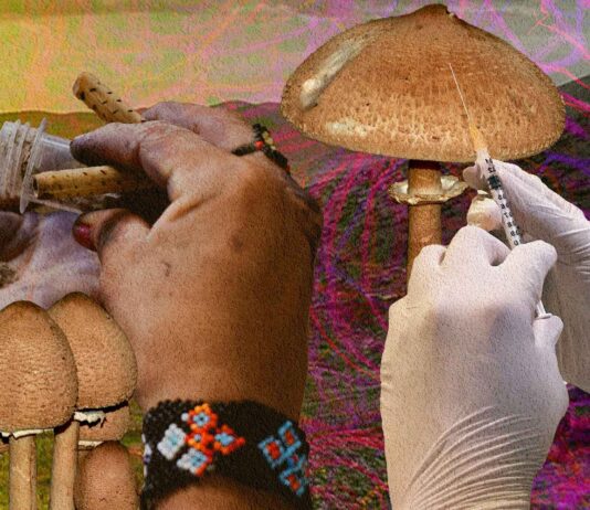 Plant Medicine in Mexico: From Traditional Use to Psychedelic Therapy Plant Medicine in Mexico: From Traditional Use to Psychedelic Therapy