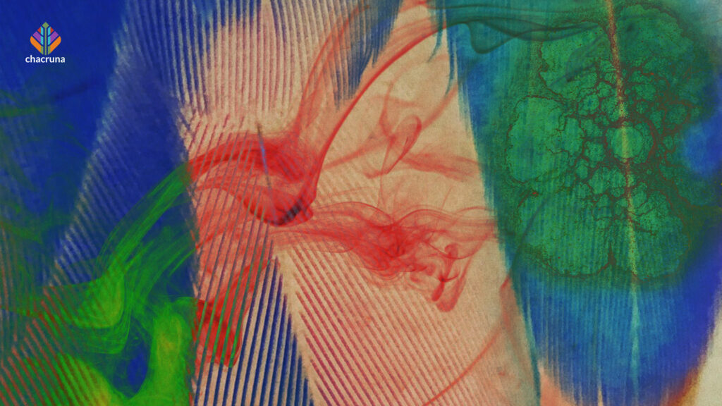 Ayahuasca and menstruation: reflections based on the experiences of Santo Daime women