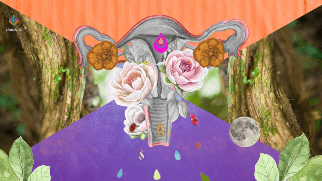 ayahuasca and menstruation 