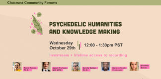 Psychedelic Humanities and Knowledge Making
