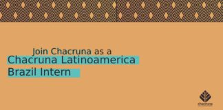 Chacruna Latinoamerica (CLA) Brazil Intern (CLOSED)