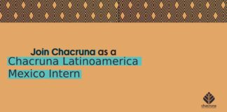 Chacruna Latinoamerica (CLA) Mexico Intern (CLOSED)