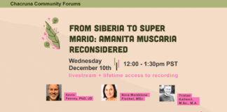 From Siberia to Super Mario: Amanita muscaria Reconsidered