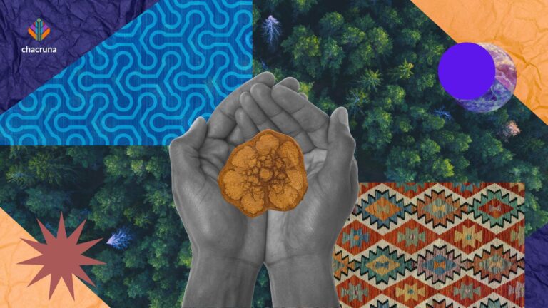 Return of shamanism in Acre Brazil, illustration representing diverse gatherings for ceremonies